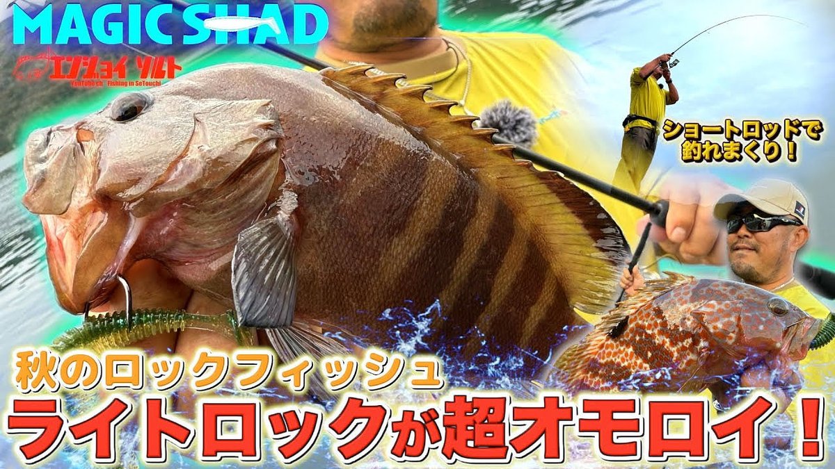 エンジョイソルト on X