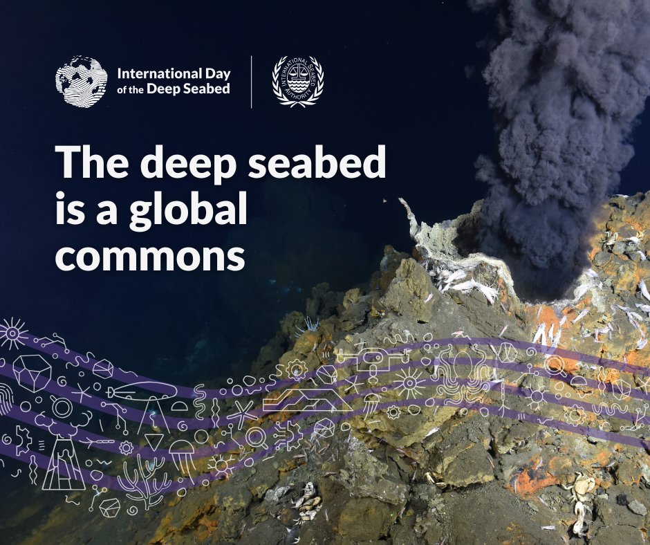 ISBAHQ's tweet image. #DidyouKnow that the #DeepSeabed is home to mysterious geological formations and ecosystems millions of years in the making, including abyssal plains, seamounts and hydrothermal vents?

🪼 They live under perpetual darkness, high pressure and near freezing temperatures.