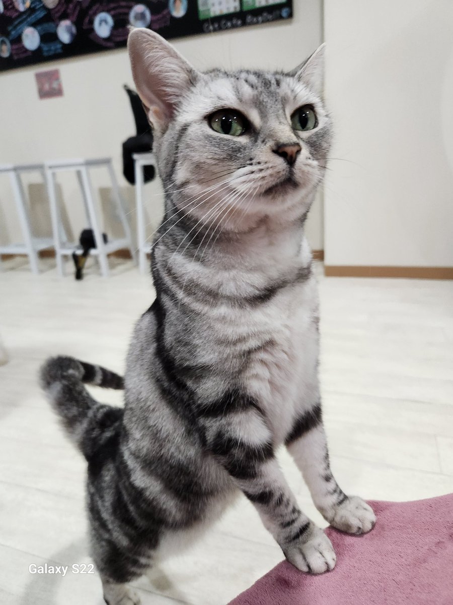 井上(機種変更) 🍷🐸 on X