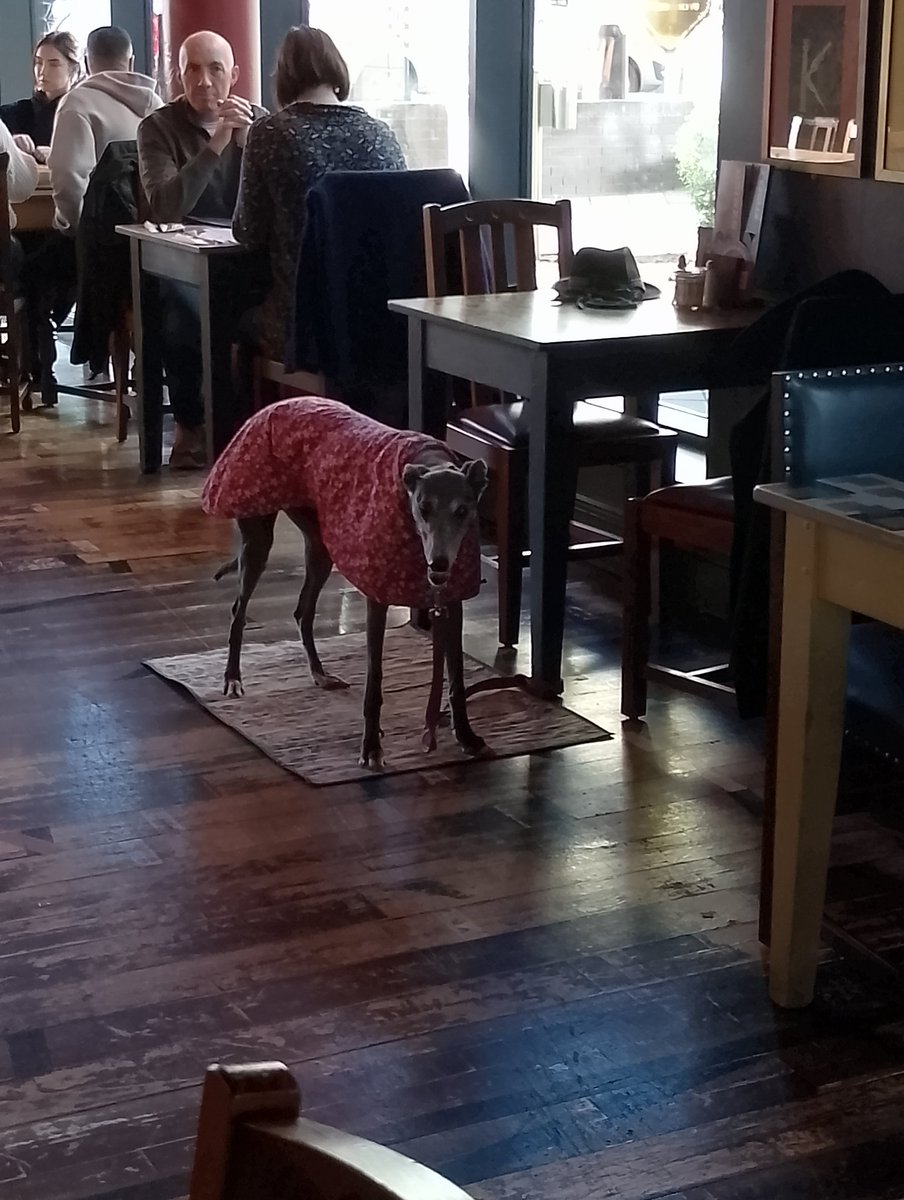 GroovyHounds's tweet photo. At @theLOUNGERS in Sittingbourne. Patiently waiting for our order. https://t.co/wYjPfLZAAf