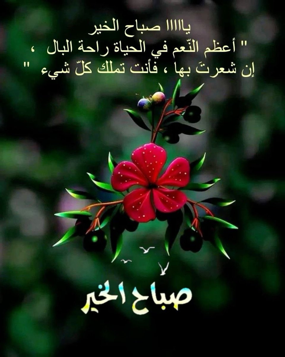 Adnan alsuhaymat (@aalsuhaymat) on Twitter photo 