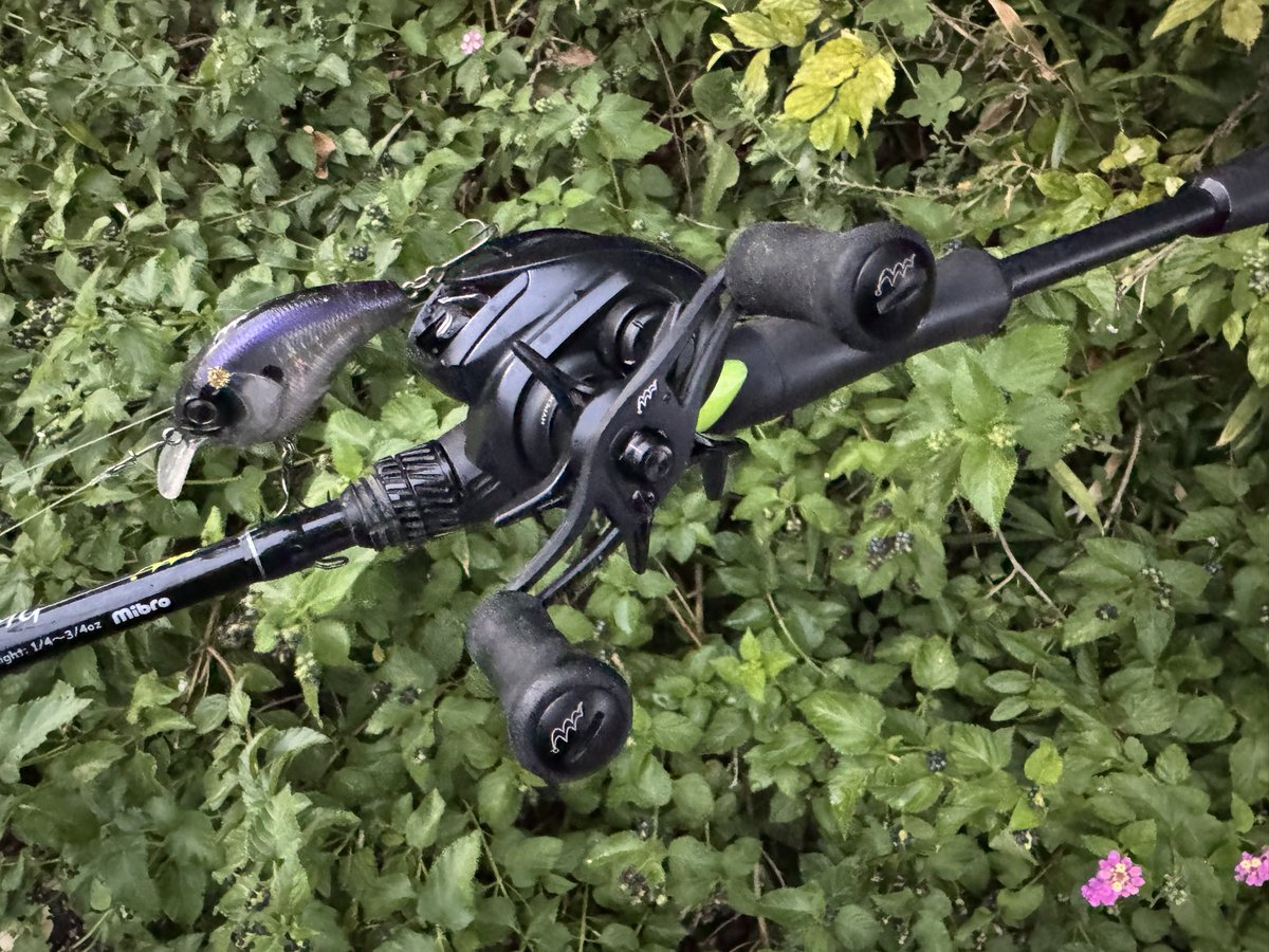 久々の夕練
2B2F
2本ともmibro cheatorキャッチ
D4Cハンドルも良い感じでした