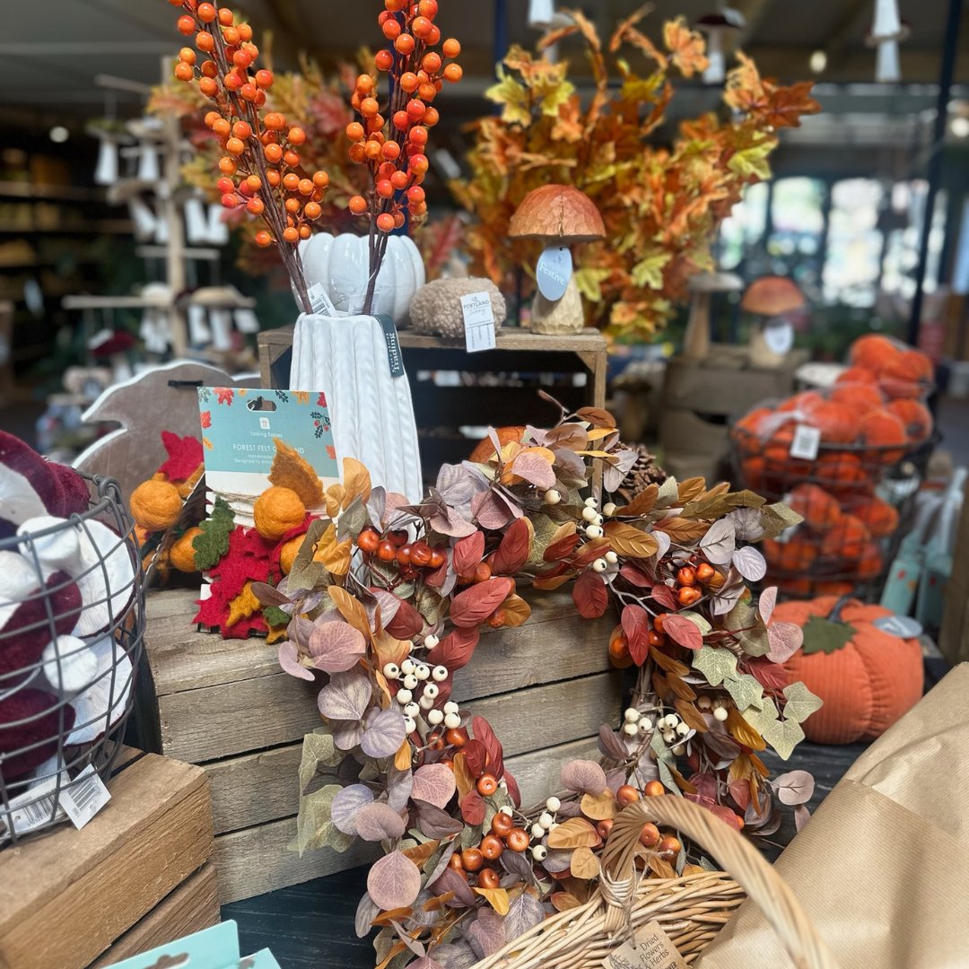 LeonardsleeG's tweet photo. This autumn, enrich your home and your loved ones' lives with our stunning collection at the Garden Shop &amp; Plant Centre. We're open daily, and parking is free for up to 45 minutes! #SussexShops #GardenShop #GiftIdeas #Autumn https://t.co/HNWxEhmPN4