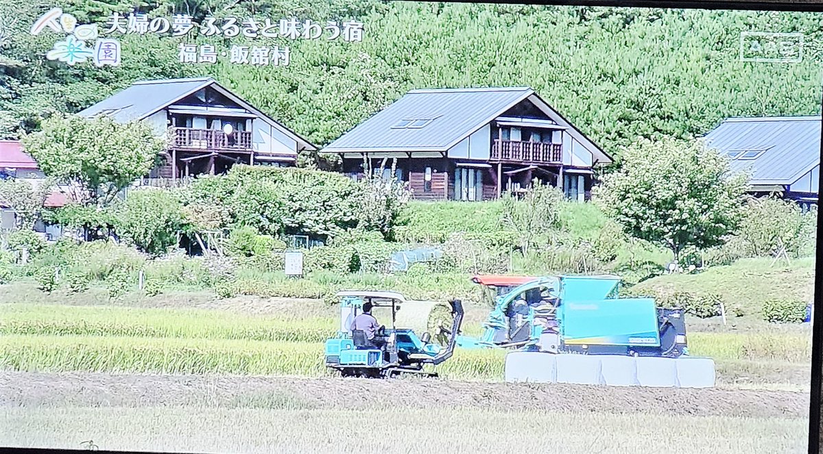 ⭐︎山⭐︎ adidas Originals ZX 8000 GORE-TEX Golf Core Black JP5257 Men's