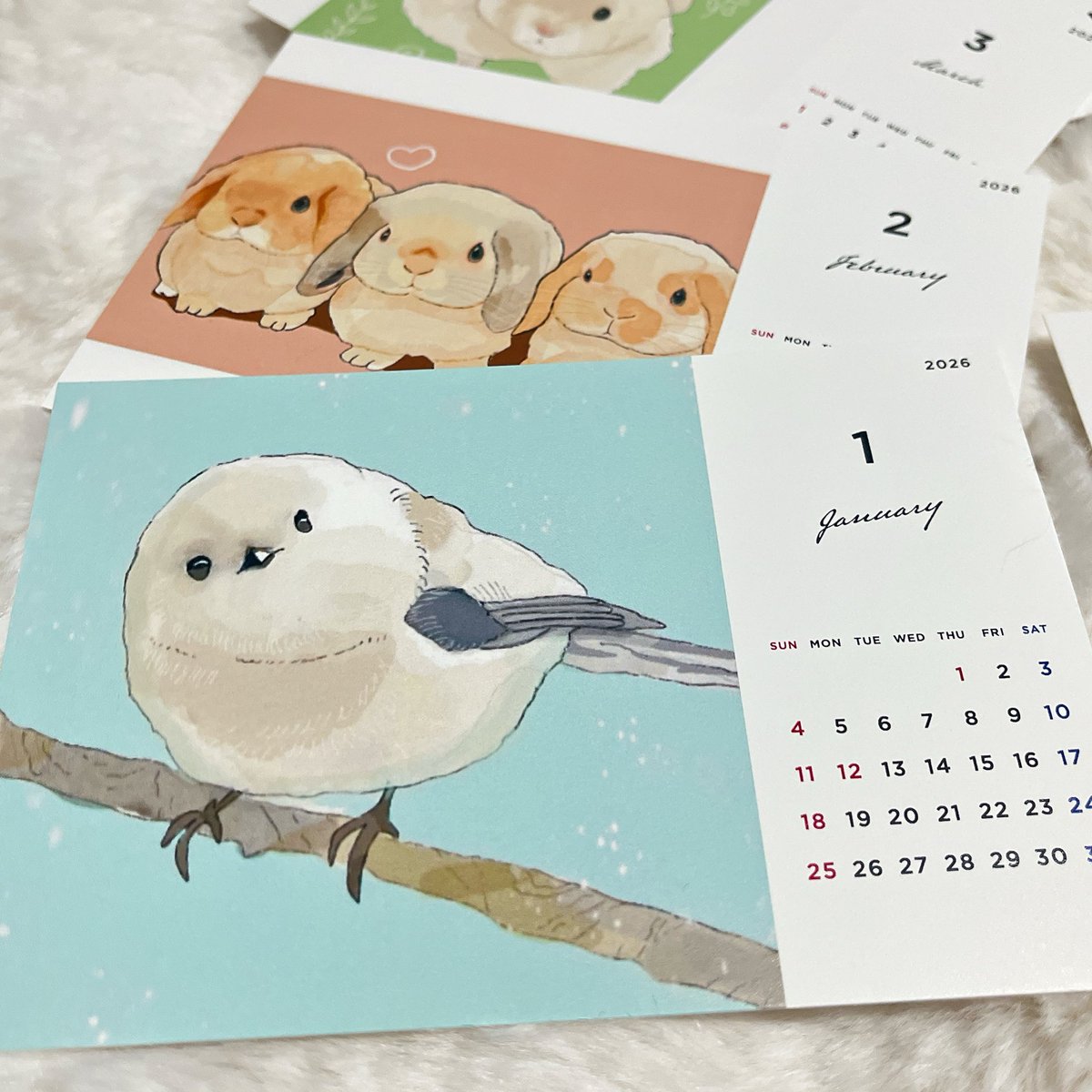 たま(たまの文具屋さん） on X