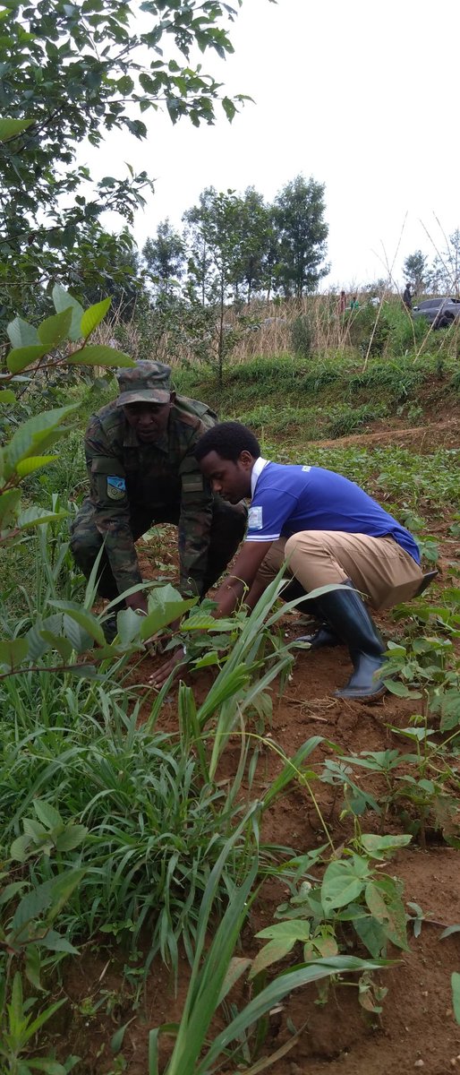 Urubyiruko rwa <a href="/NgororeroDistr/">Ngororero District</a> twitabiriye Umuganda rusange ngarukakwezi  waranzwe no gutera ibiti twifatanyije na 
Minisitiri <a href="/RwandaInterior/">Ministry of Interior | Rwanda</a>  akaba n'Imboni y'Akarere muri Guverinoma Hon. <a href="/vincentbiruta/">Vincent Biruta</a> wabereye  mu murenge wa <a href="/HindiroSector/">Hindiro Sector</a>.
<a href="/RwandaYouthVol1/">Rwanda Youth Volunteers</a>