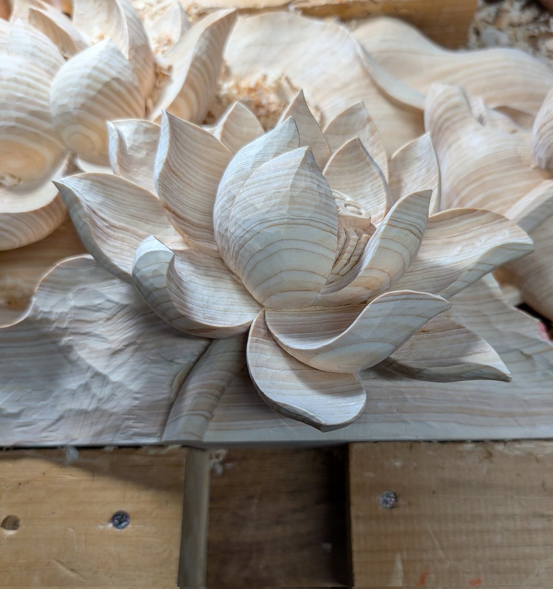 狐❖壱伍 (@IXo77AHDJ3GfcxX) / Posts / X