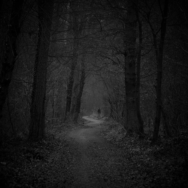 terror lives in her core,
trembling, faltering,
soothed only by the vibrato
of his heart’s steady hum.

he is here
always near
silence whispers
in solitude.
🖤
#ωнιѕρєяѕ

#vss365 #terror