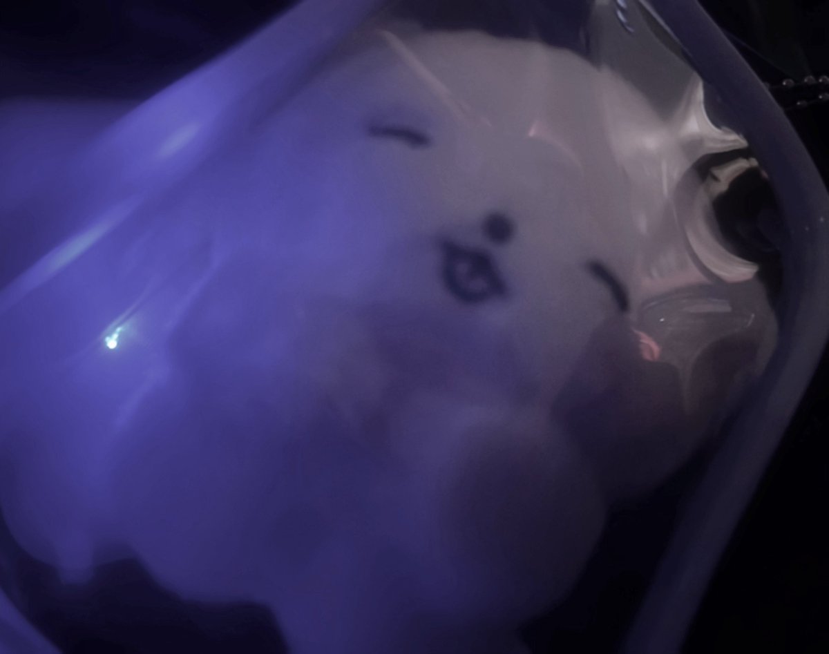 ブラック ミユ様 ブラック ミユ様 ミユ 様 Amazon.co.jp: Zex Zx ブラック ミユ様 ブラック ミユ様 ミユ 様 Amazon.co.jp: Zex Zx