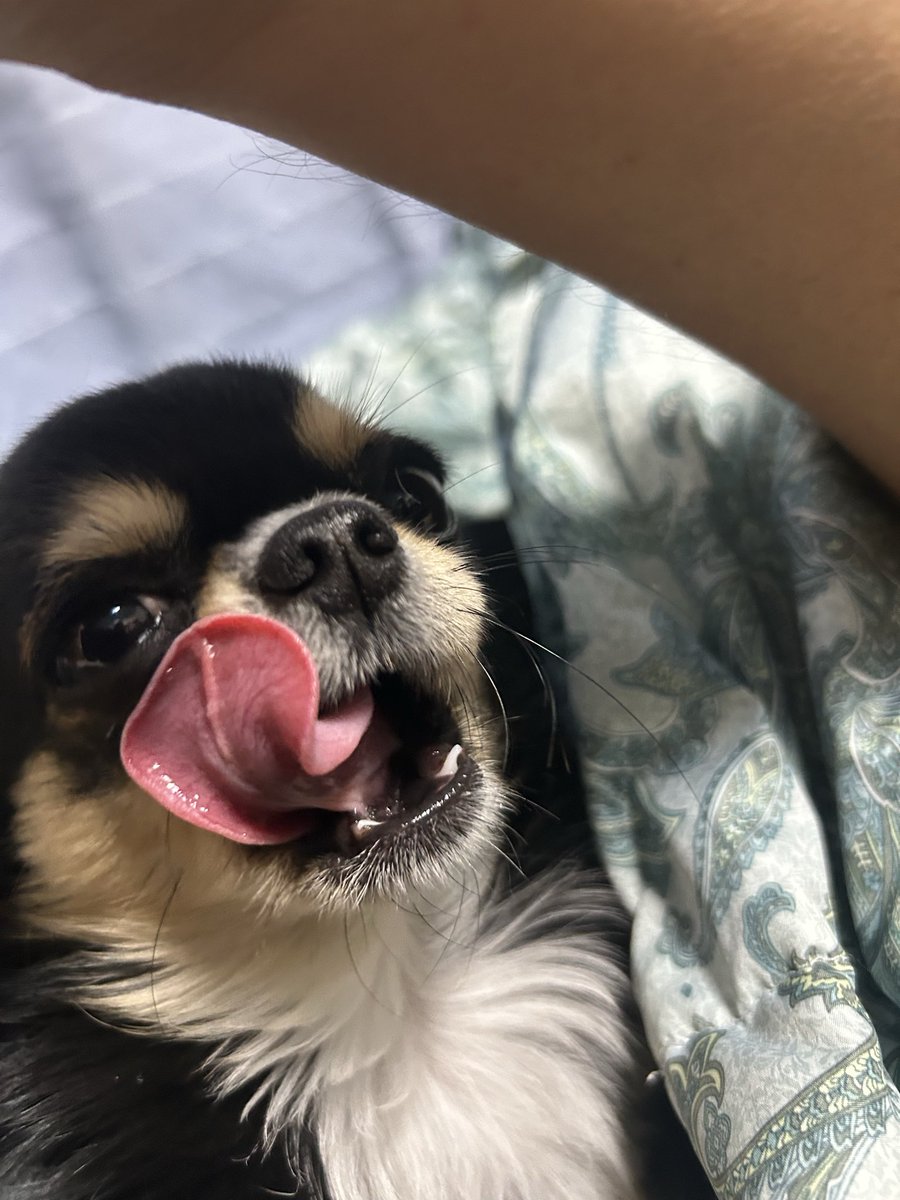 たくぞー (@taku0924t) / Posts / X