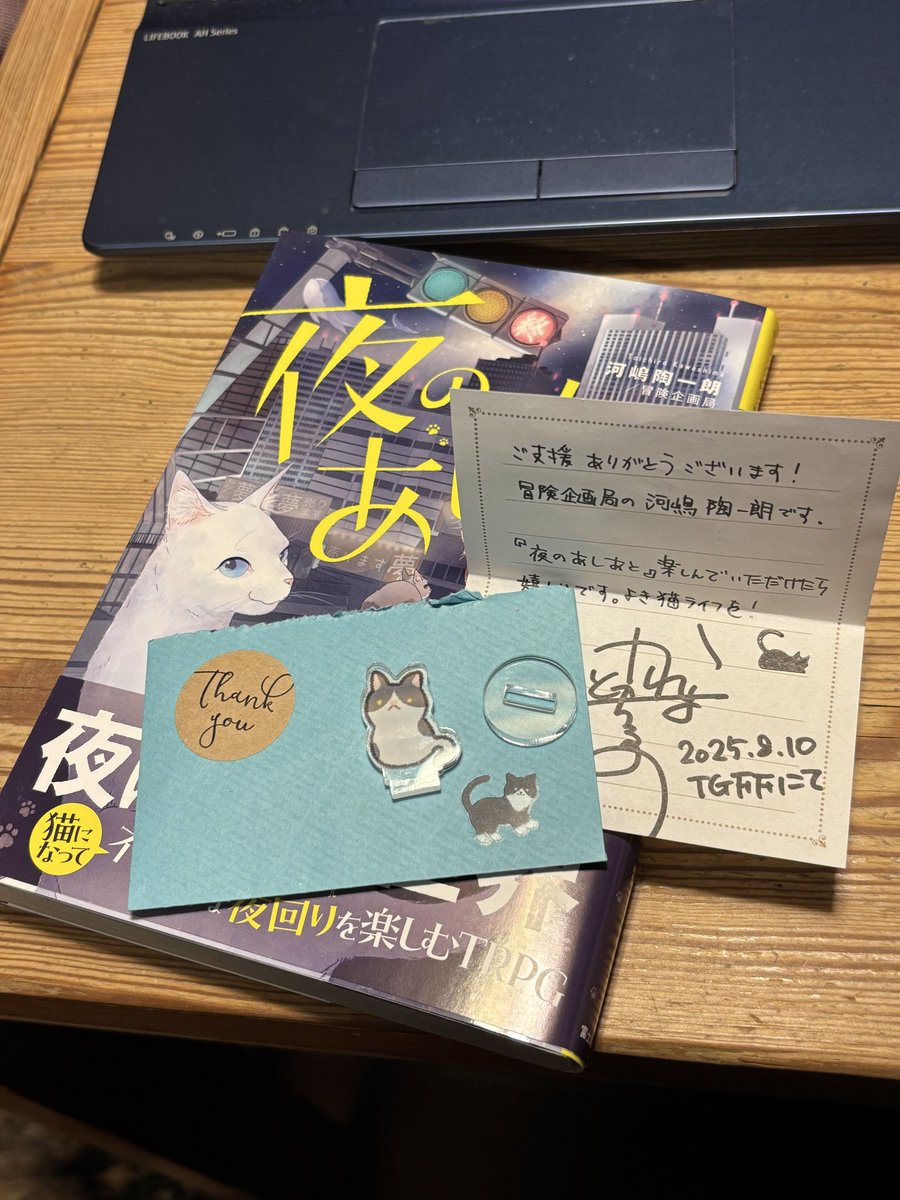 手作り額付き作品　title「蒼天のニャンコ」 らすぽん on X