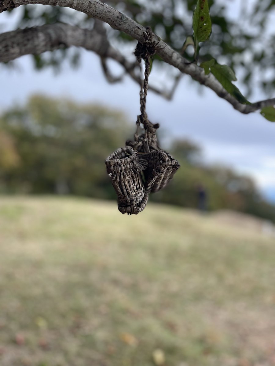 とよだみき on X