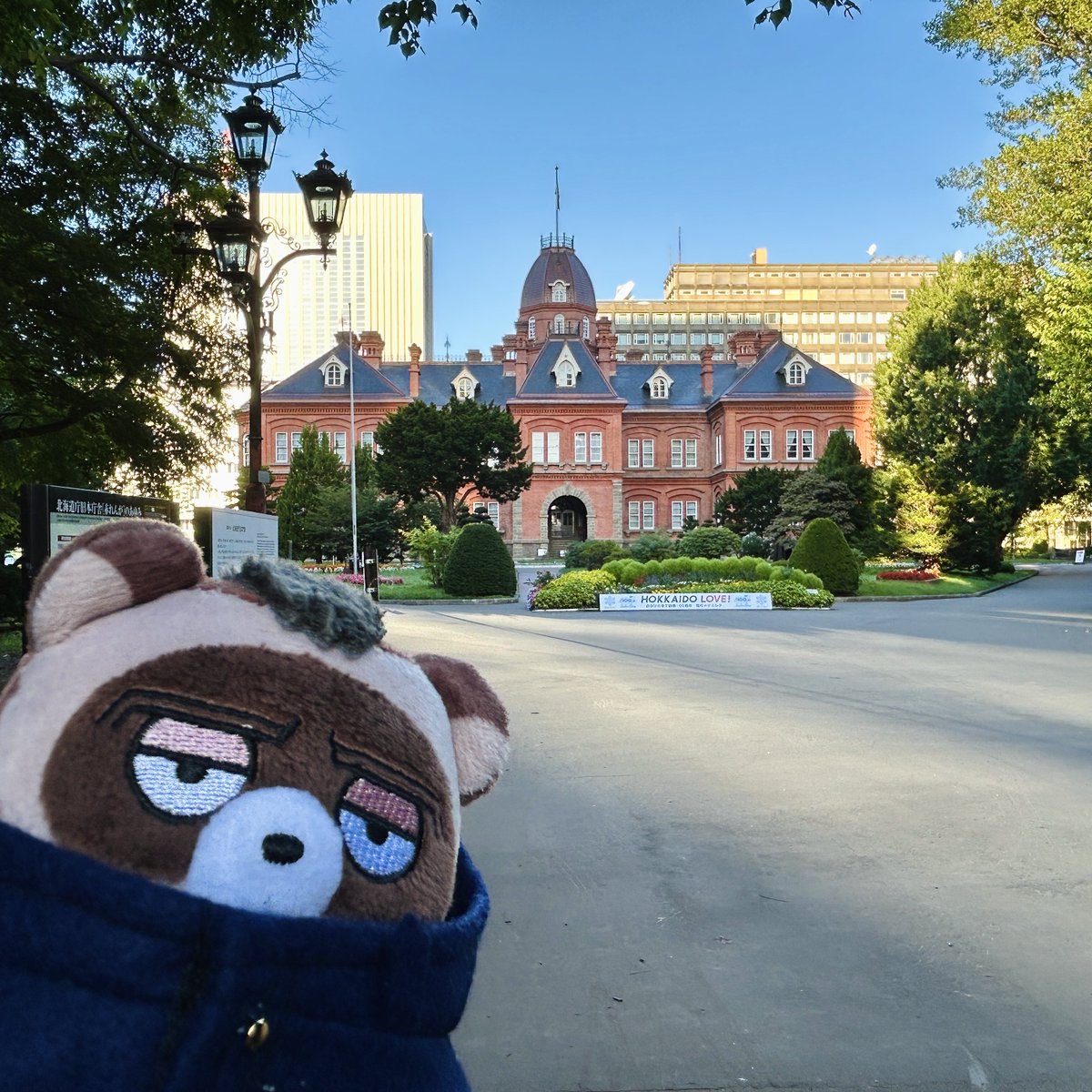 peco様　 専用です。 お知らせ :: LORO ワールドリカンベンツ （京都） OX PECO