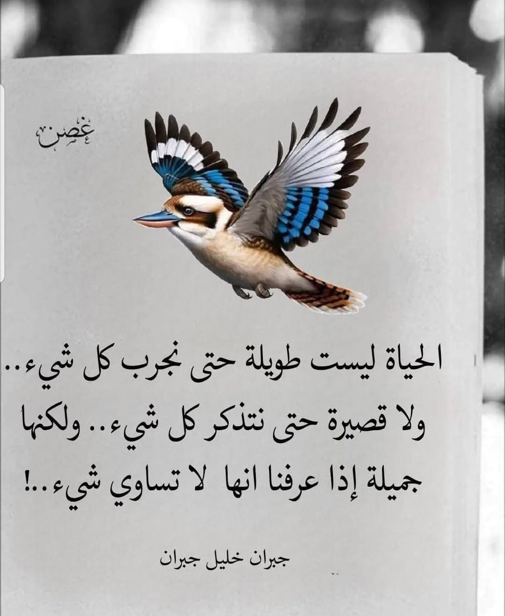 إدريس الفارسي (@edriss454) on Twitter photo 
