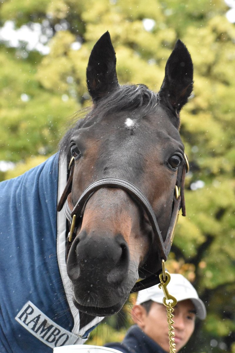 micci* (@0701micci) / Posts / X