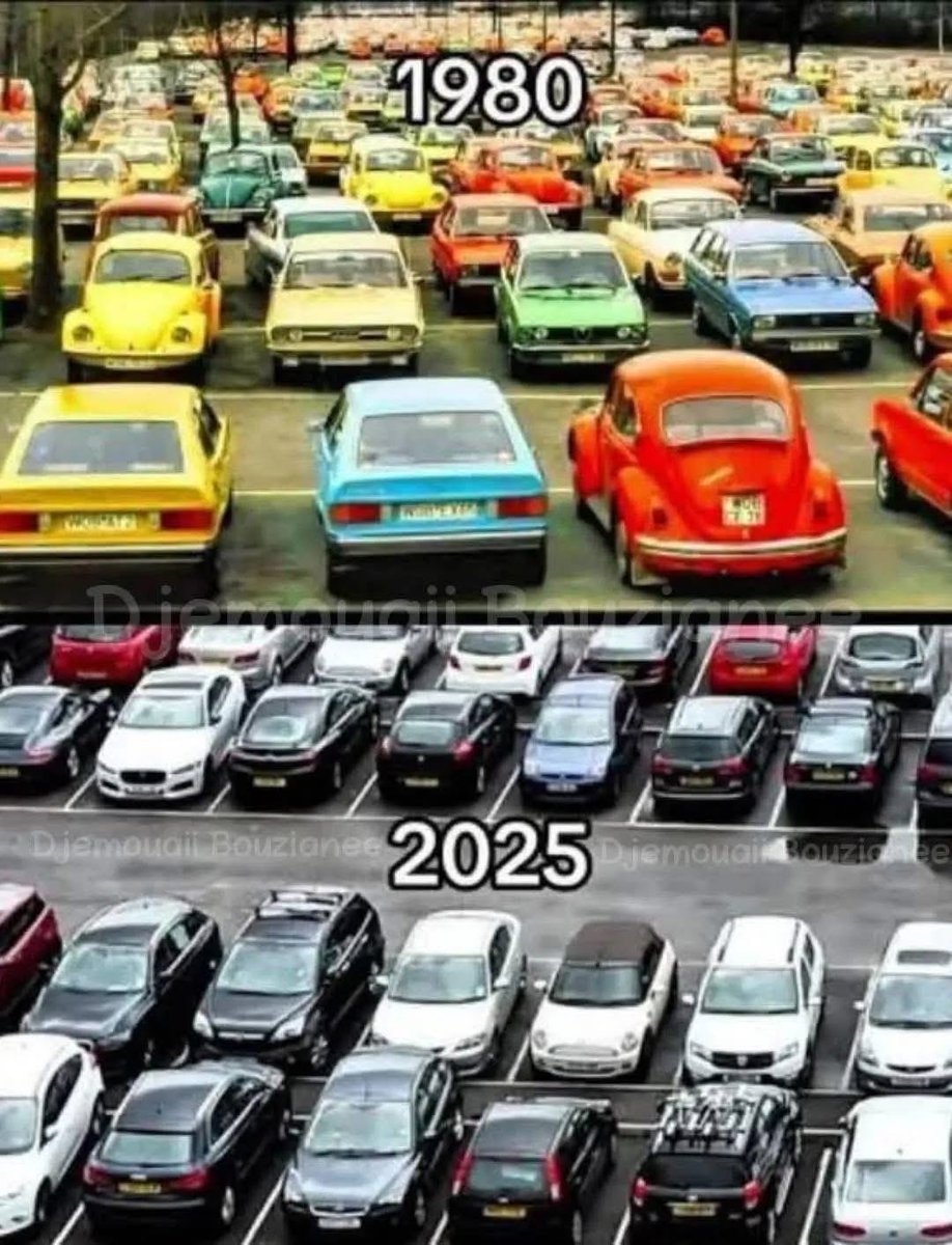 مع الزمن
الالوان بدأت تتلاشى و تبهت و ……. تختفي !

في السيارات
في الملابس
في الديكور و الاثاث
ٰ
الحياة كل مالها و تصبح …بلا لون او ….. طعم 💔