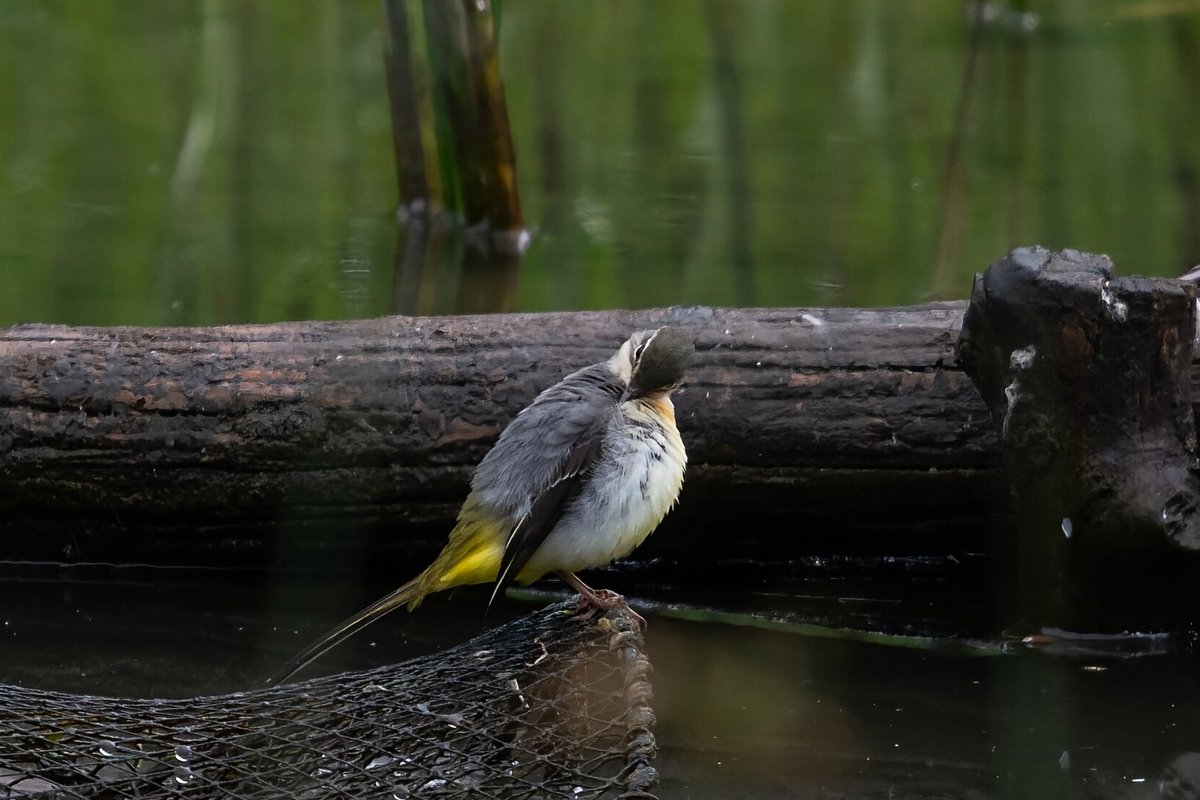 38いくら@PENTAX📸K3MarkⅢ📸K70 on X