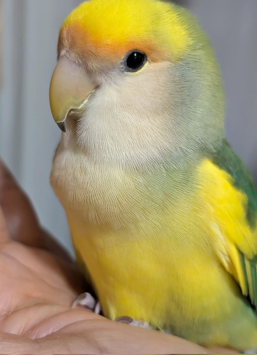 Coral プロフィール必読 Coral プロフィール必読 Coral プロフィール必読 まこと✣プロフィール