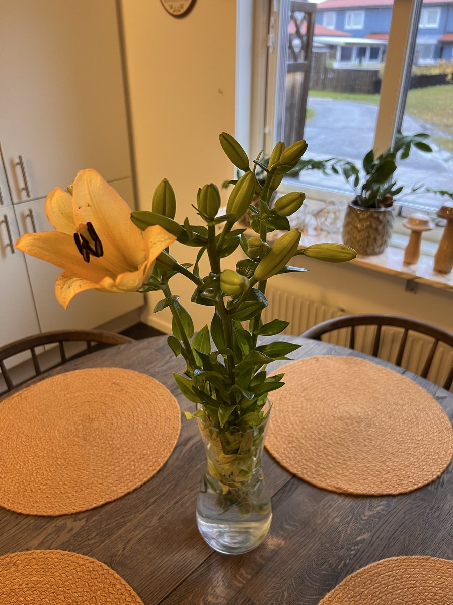 Tottzki's tweet photo. Happy birthday to me 🥳 Yes I bought myself flowers. Have a good day #Zeudiners 🫶🏻 https://t.co/8Q0po6LIn8