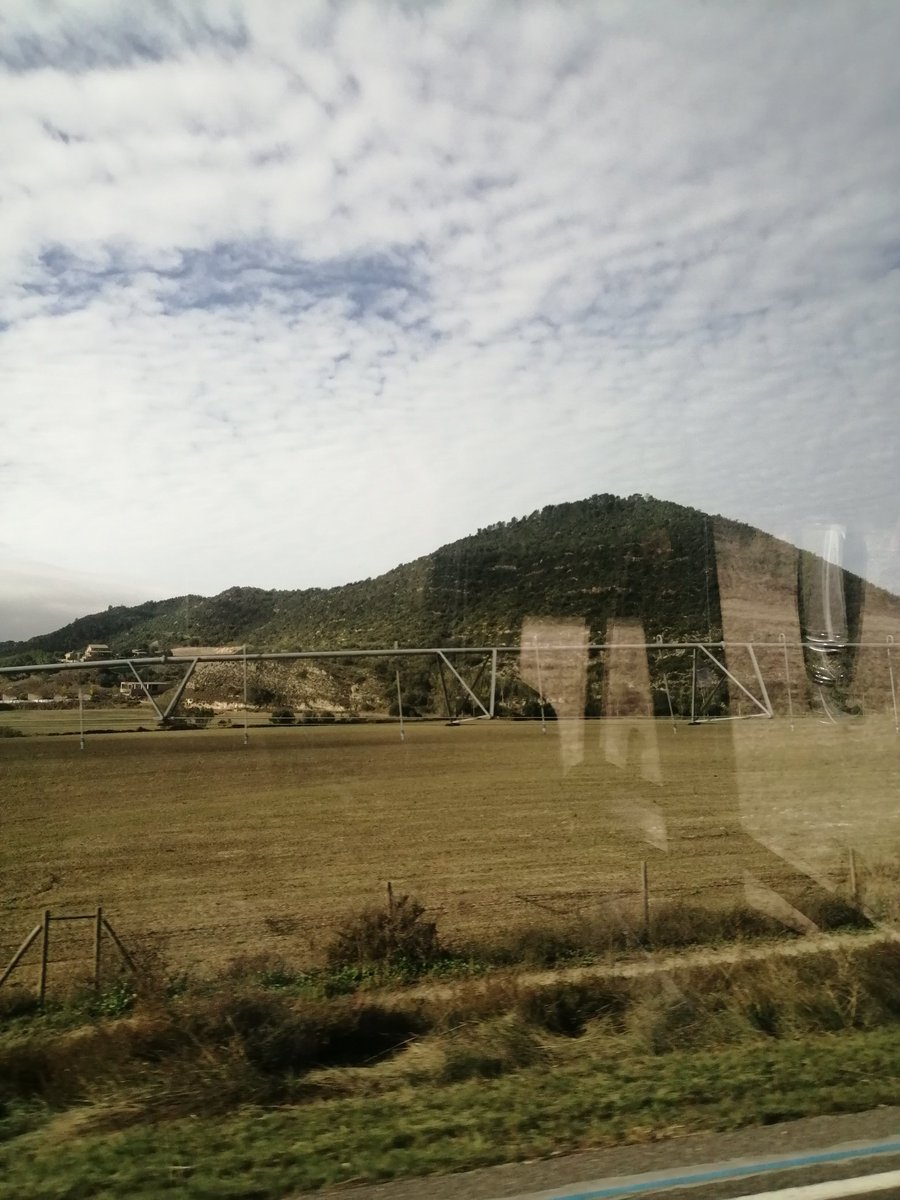 💜 TRINI 🦋 tweet media