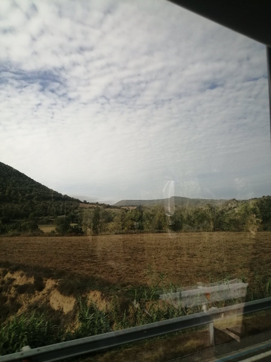 💜 TRINI 🦋 tweet media