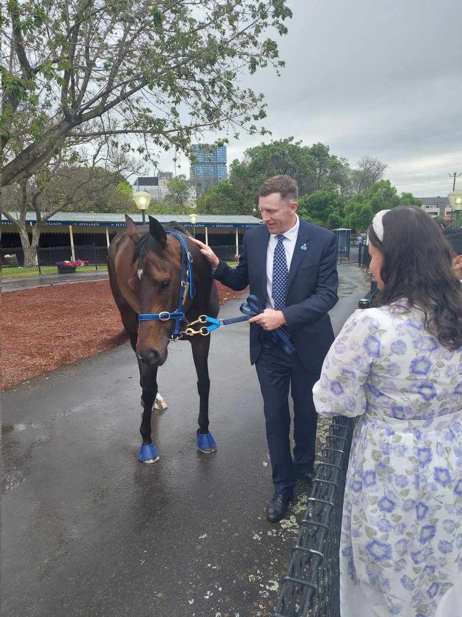 Via Sistina deserves her plaudits and she was awesome winning her 2nd Cox Plate today. 

This girl Treasurethemoment though earnt a legion of fans, bouncing back after a fair setback mid prep and run a blinder in 3rd. A superb effort 💪

Her trainer I'm sure will get one in time.