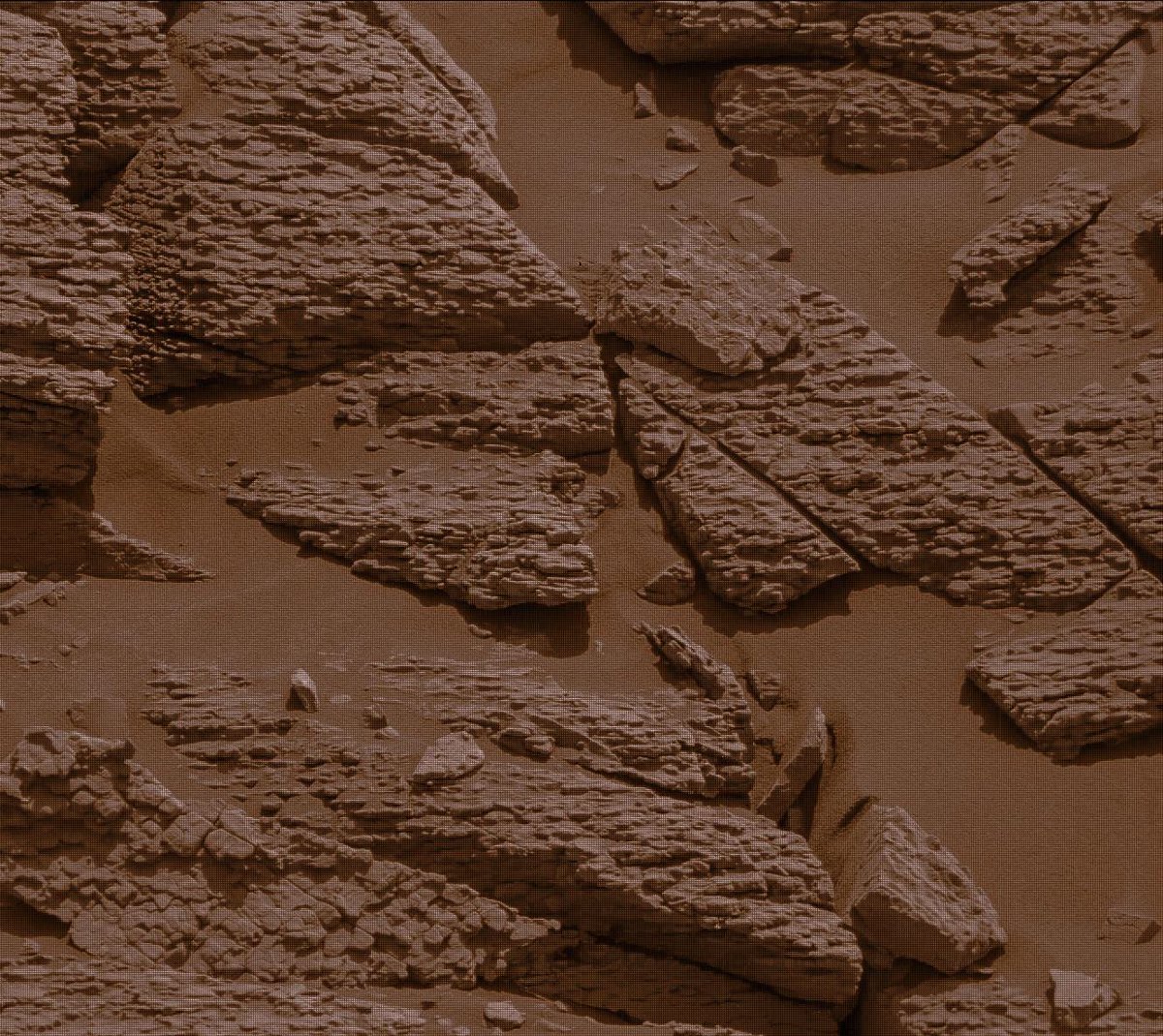 Black Hole tweet media