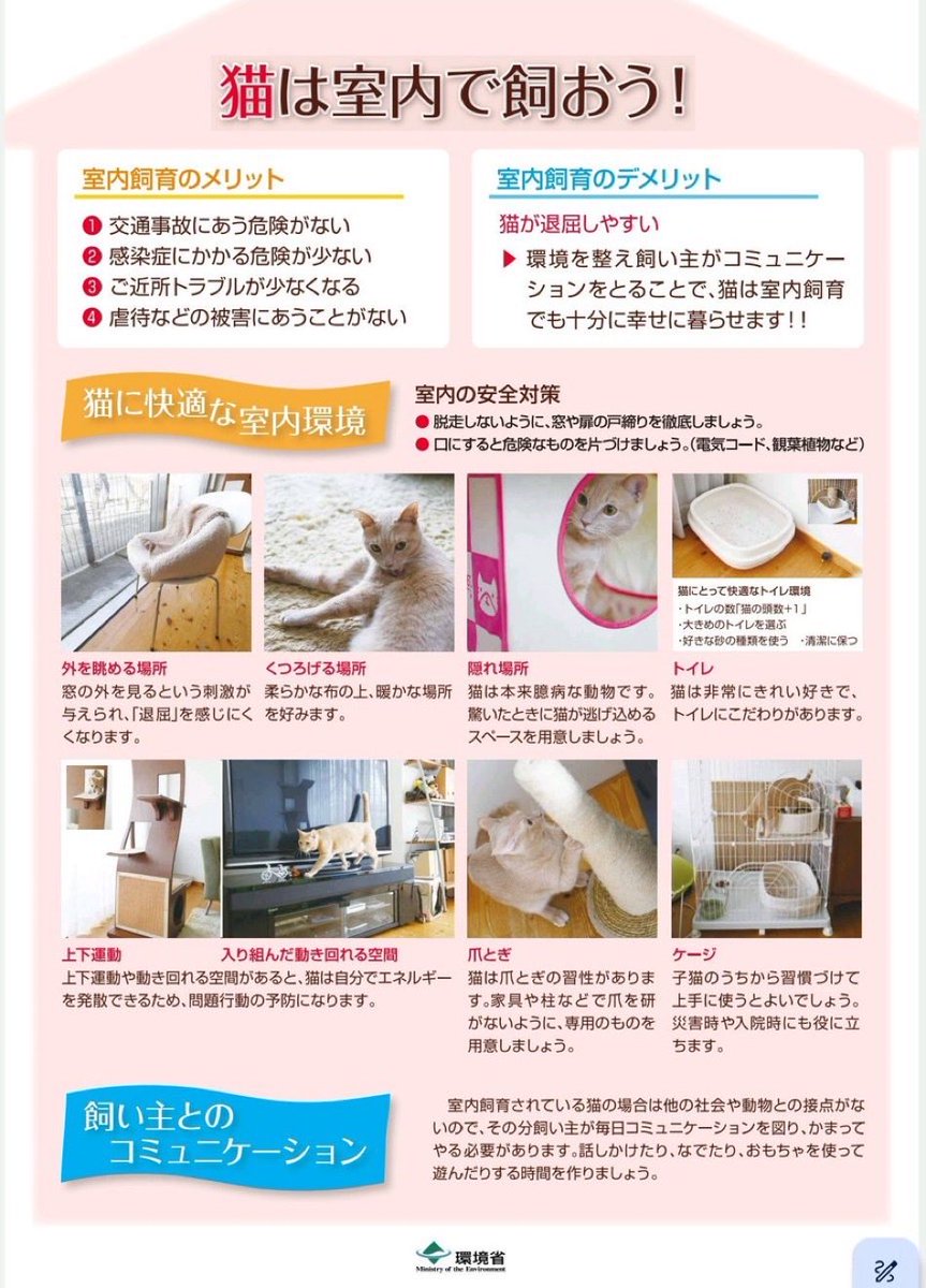 ミルクティー on X