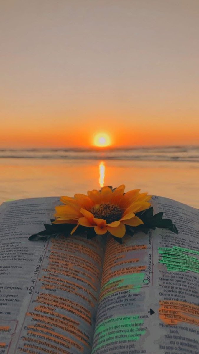 sunflowerchives's tweet photo. Sunflower &amp; sunset✨ https://t.co/FrLOlJFEQG