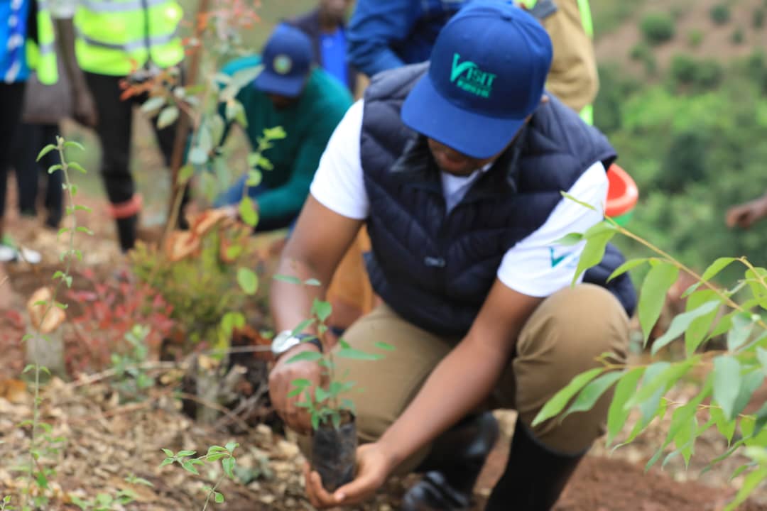 𝐄𝐚𝐬𝐭𝐞𝐫𝐧 𝐏𝐫𝐨𝐯𝐢𝐧𝐜𝐞 | 𝐑𝐰𝐚𝐧𝐝𝐚 (@rwandaeast) on Twitter photo Kuri uyu wa Gatandatu, hirya no hino muri iyi Ntara, Abayobozi n'abaturage bazindukiye mu #Umuganda rusange usoza Ukwezi kw'Ukwakira 2025, wibanze ku bikorwa byo gutera ibiti/amashyamba.
#IgitiCyanjye🌿🌲 Kuri uyu wa Gatandatu, hirya no hino muri iyi Ntara, Abayobozi n'abaturage bazindukiye mu #Umuganda rusange usoza Ukwezi kw'Ukwakira 2025, wibanze ku bikorwa byo gutera ibiti/amashyamba.
#IgitiCyanjye🌿🌲