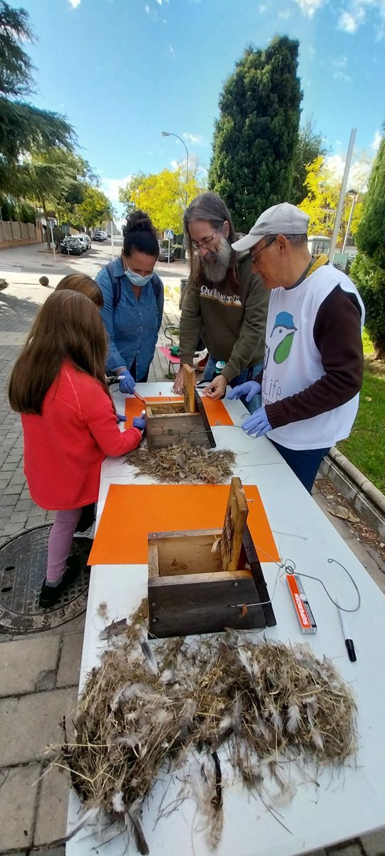 Ya tenemos las cajas nido abiertas y estamos clasificando el material que utilizan las aves ello.
Cuando estén limpias procederemos a colgarlas.
También haremos comederos para cuando llegue el frio.

Os dejamos algunas fotos.