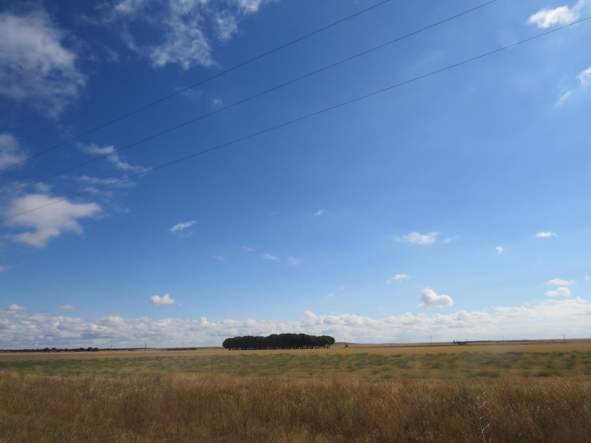 On est tout le temps sur les fils !

Passez un bon weekend 🙏😘❤️
✍️📸Doga Sy 
#photography #photo  #photooftheday #PhotographyIsArt