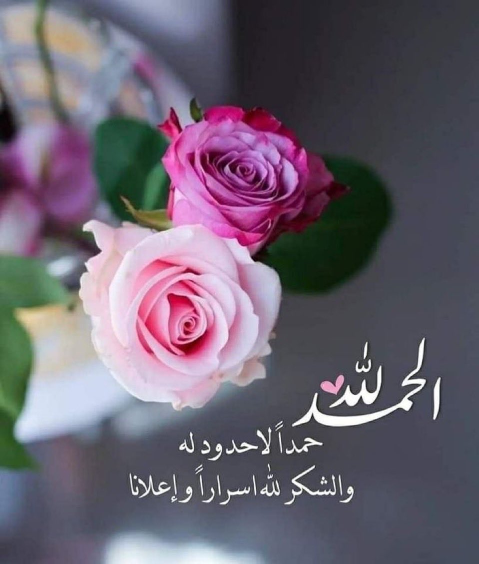 #شكر_الله_جل_جلاله 

منْ ظن بالله خيرًا فلن يخيِّب الله ظنّه ، ومن شكر الله على نعمه ؛ زاده الله من فضله ، ومن توكّل على الله فهو حسبه 🌱

#المجموعة_الدعوية 
#الكلم_الطيب 
#ومضه_حرف