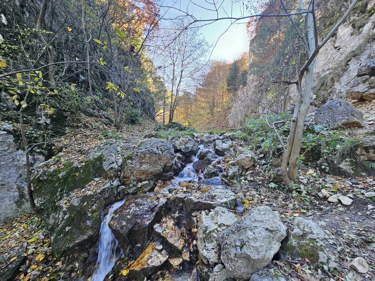 RJonTourUK tweet media