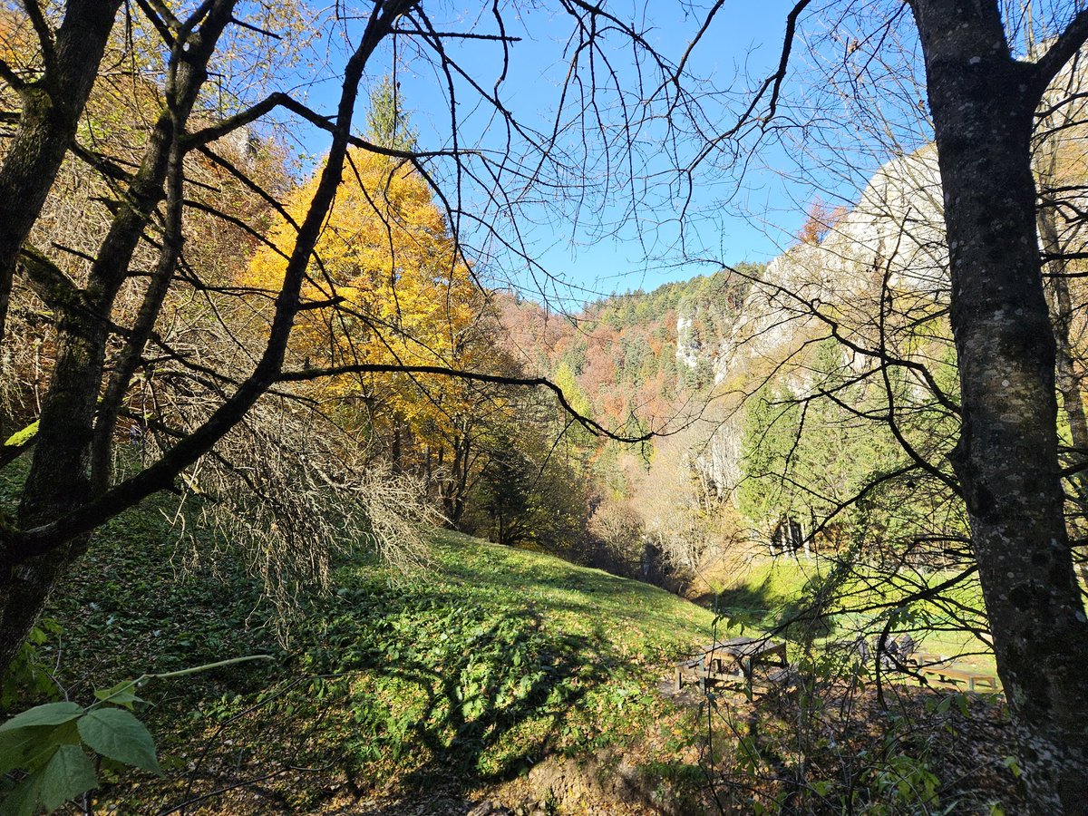 RJonTourUK tweet media