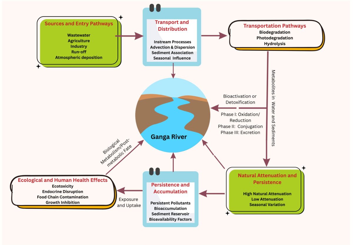 Anthropocene Science tweet media