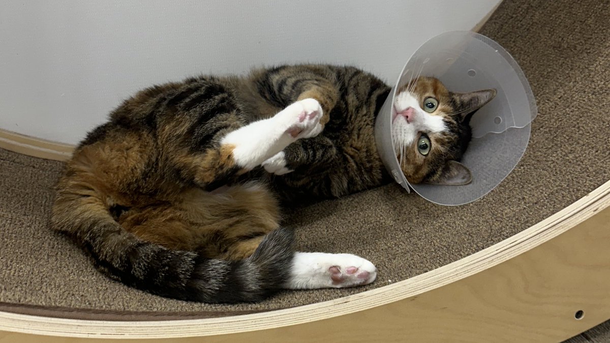 v2soo2's tweet image.