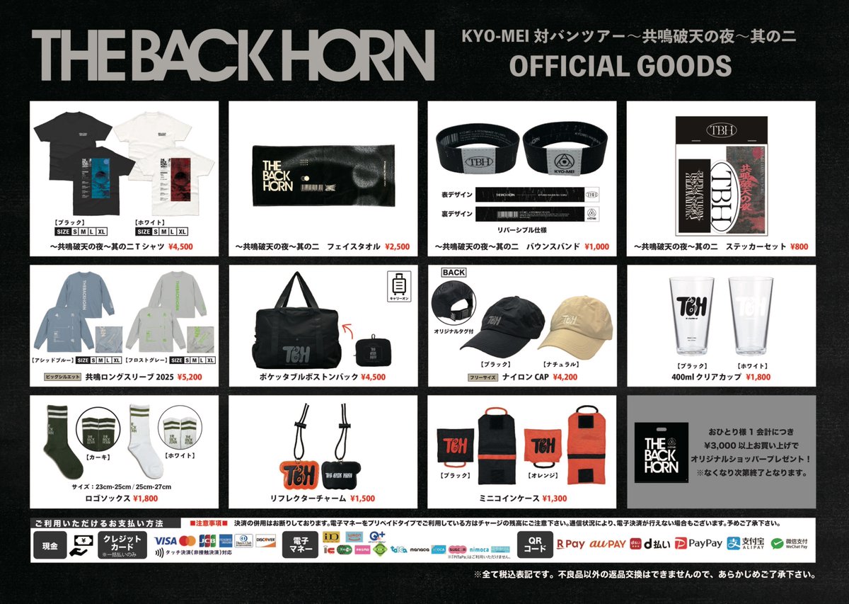 THE BACK HORN バックホーン　まとめ売り 明日ツアー2本目］ THE BACK HORN 「KYO-MEI対バンツアー」 〜共鳴破天