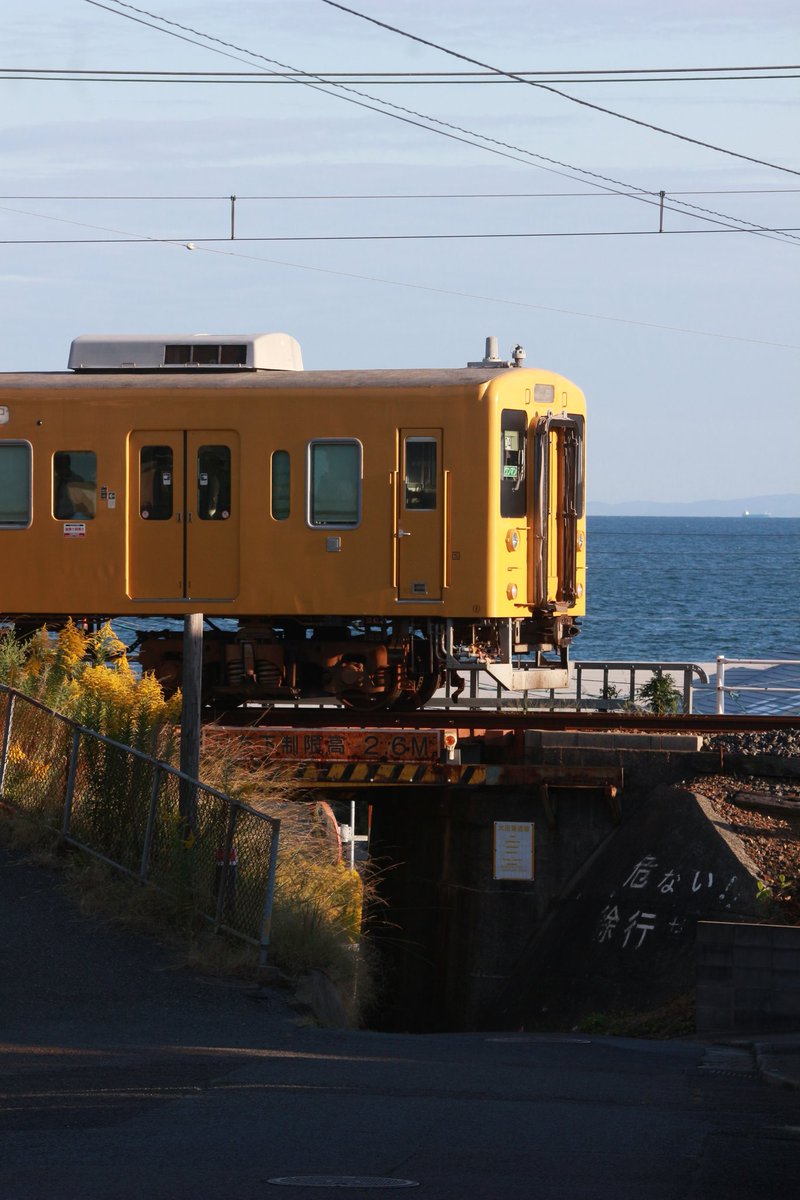 まーさん tweet media