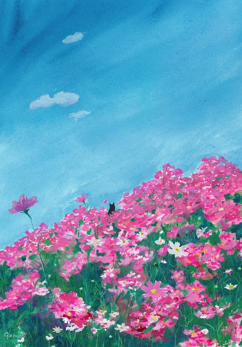 明日は晴れるといいな