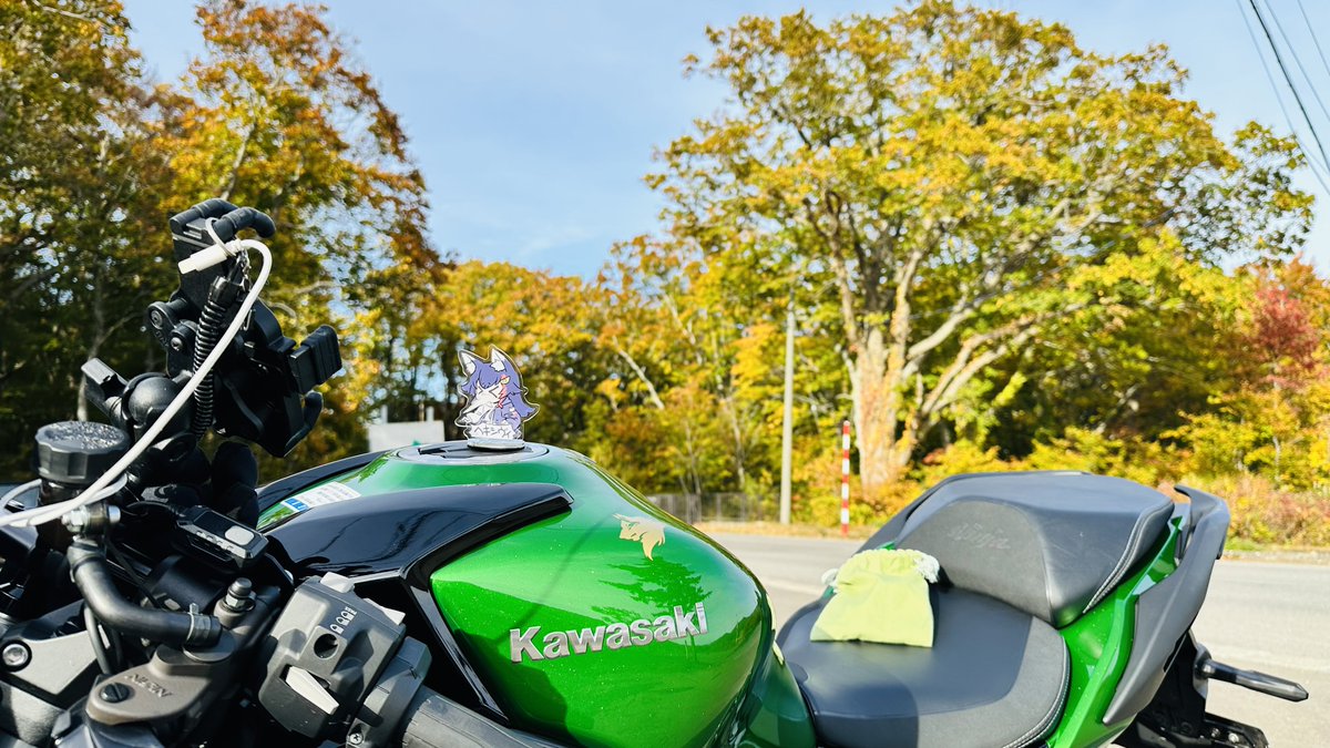 ⚠煌ペー⚠ 激突王(BS:BF:ZX) on X