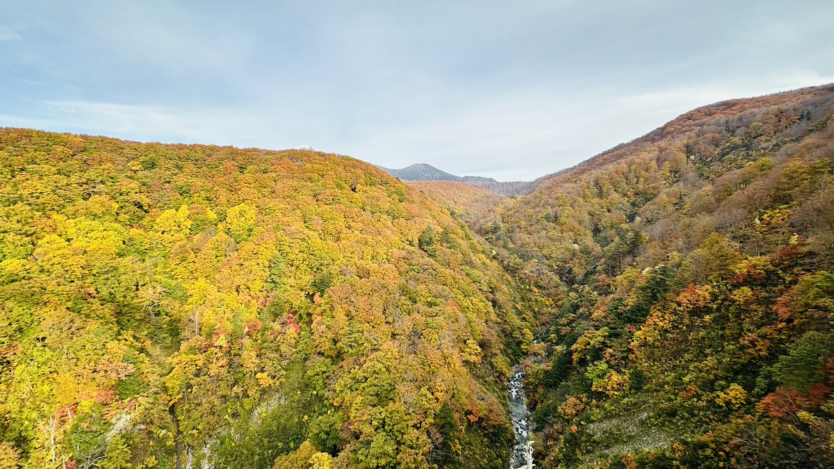 幻影ページ BMC@Ninja叡智2SXSE㌠ on X