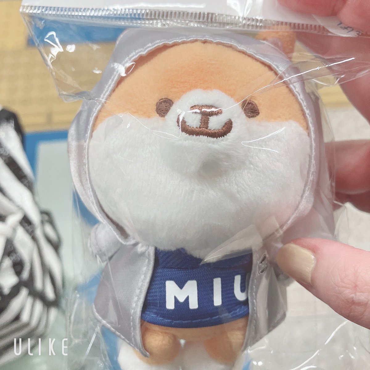 SUZUNE@10/25ぬいぬま.札幌 (@suzune_0000) / Posts / X