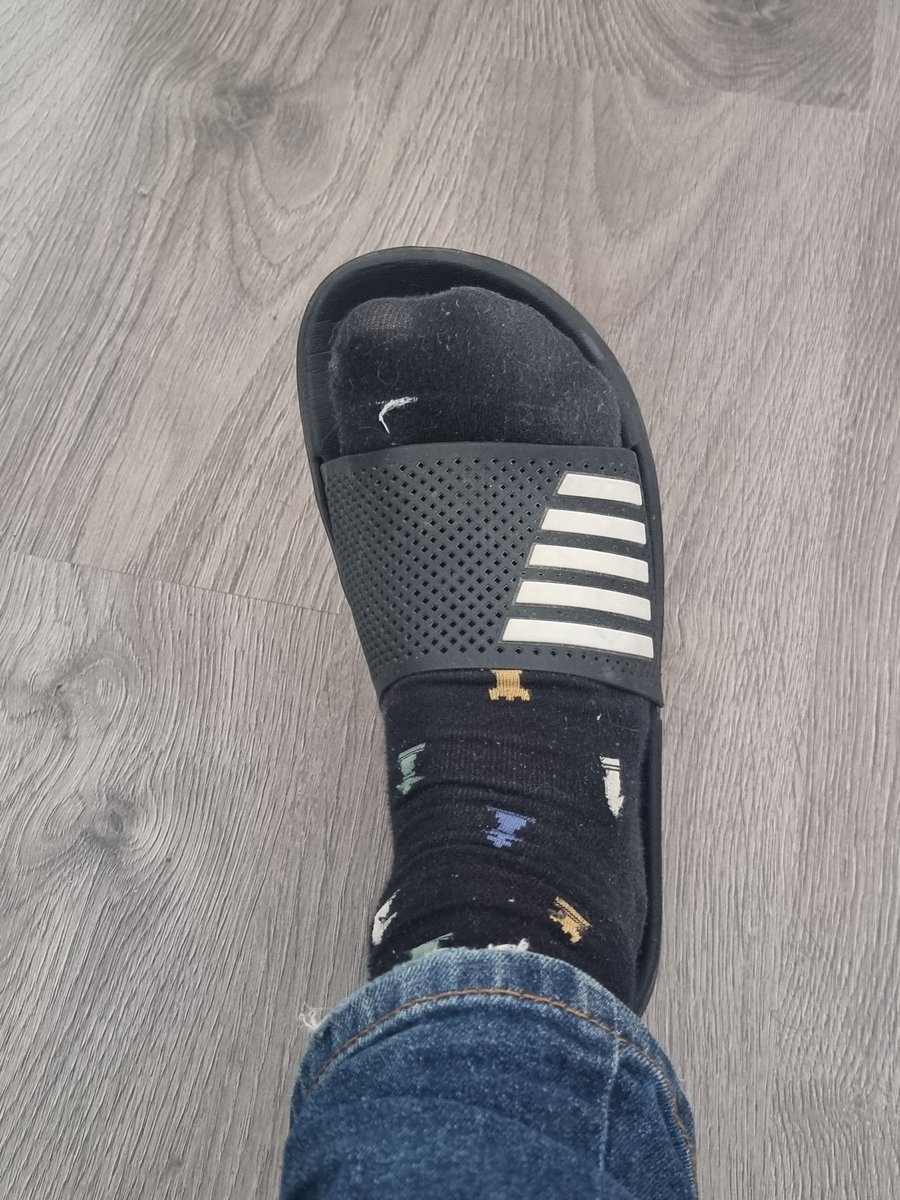 Miguel de Lys ⚜️ tweet media