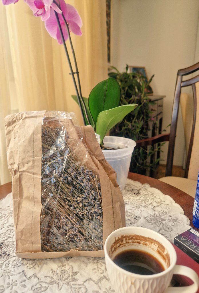 Iz kese sa štekovanim džemperima ispade lavanda koju mi je dao otac Vasilije, iguman Zavale. Cela kuća miriše na ljubav 🥰