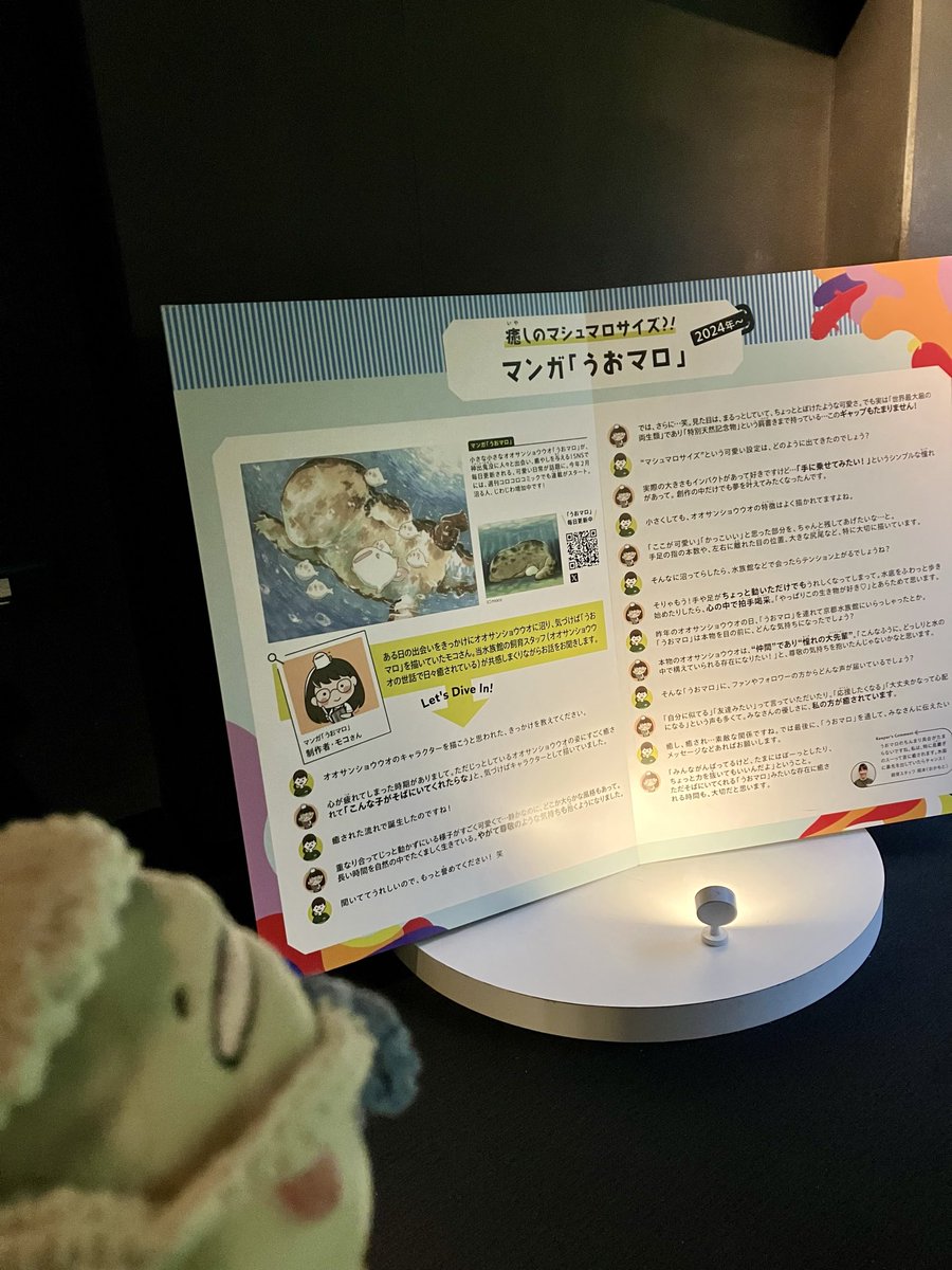 こんばんは、モコです〜。
先日、京都水族館さんにお邪魔してきました!
ただいま開催中の『オオサンショウウオに沼った!展2』にて、オオサンショウウオ水槽のエリアに、私のインタビューパネルを展示していただいています✨
実物を拝見できてとっても嬉しかったです!
展示は12月1日までとのこと。
