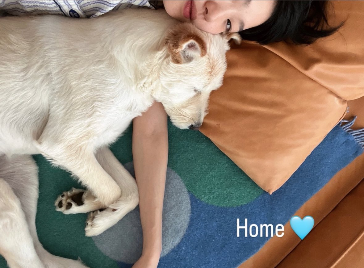 ggonekim igs. ‘Home 🩵’

my favorites 🥹