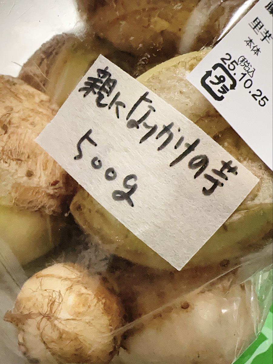 限定myomyomyooon Lemon & Ginger Lemon & Ginger Archives - Fandango Guitars