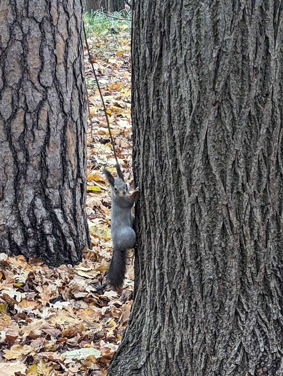 Annushka_Smaslom tweet media