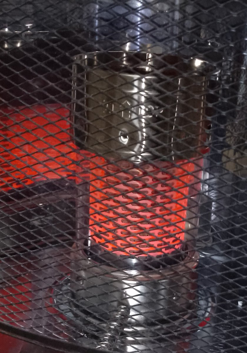 オオアレチノギク薫 on X